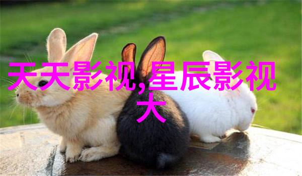 《经典咏流传·大美中华》第七期连续开启诗词里的情感库藏