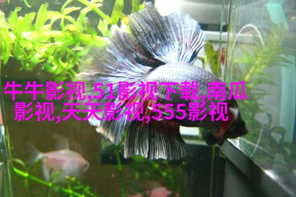 3 《老师·好》路演上海收官