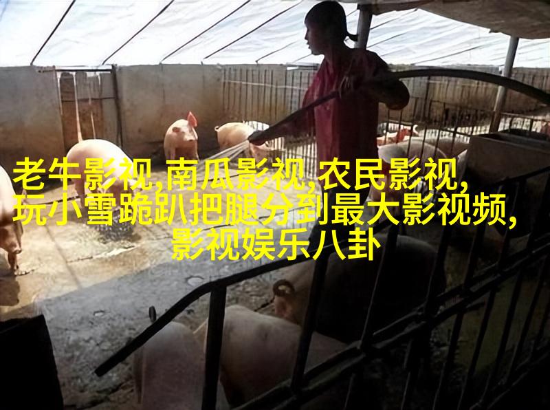 《神雕侠侣》又翻拍了，却被吐槽主角还不如配角选得适合