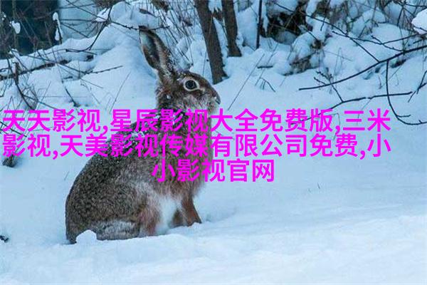 《经典咏流传·大美中华》第七期连续开启诗词里的情感库藏
