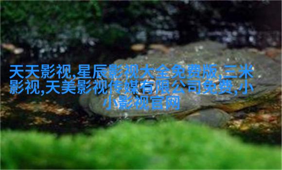 《经典咏流传·大美中华》第七期连续开启诗词里的情感库藏