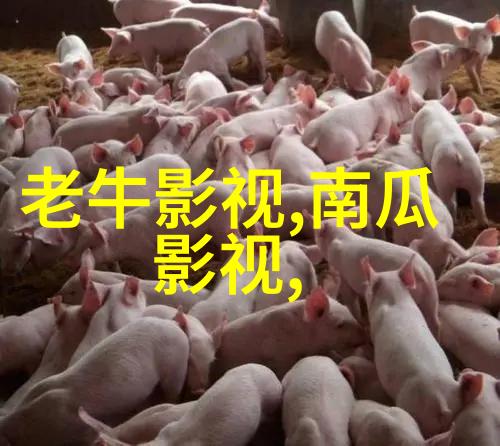 《神雕侠侣》又翻拍了，却被吐槽主角还不如配角选得适合