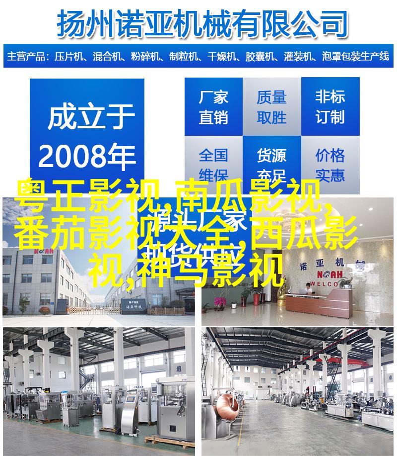 《精武陈真》霸气归来！极致动作燃爆精武爱国魂