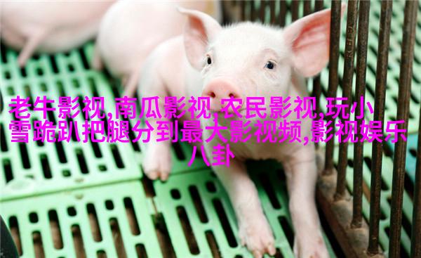 《神雕侠侣》又翻拍了，却被吐槽主角还不如配角选得适合